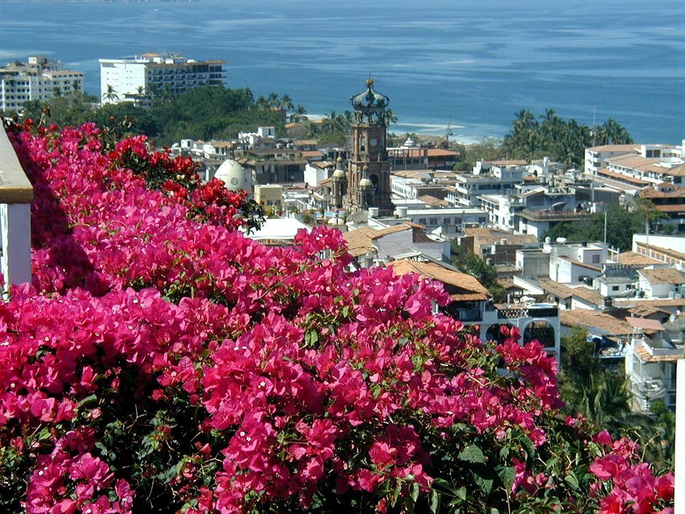 Hotel Suites La Siesta Puerto Vallarta Exteriér fotografie