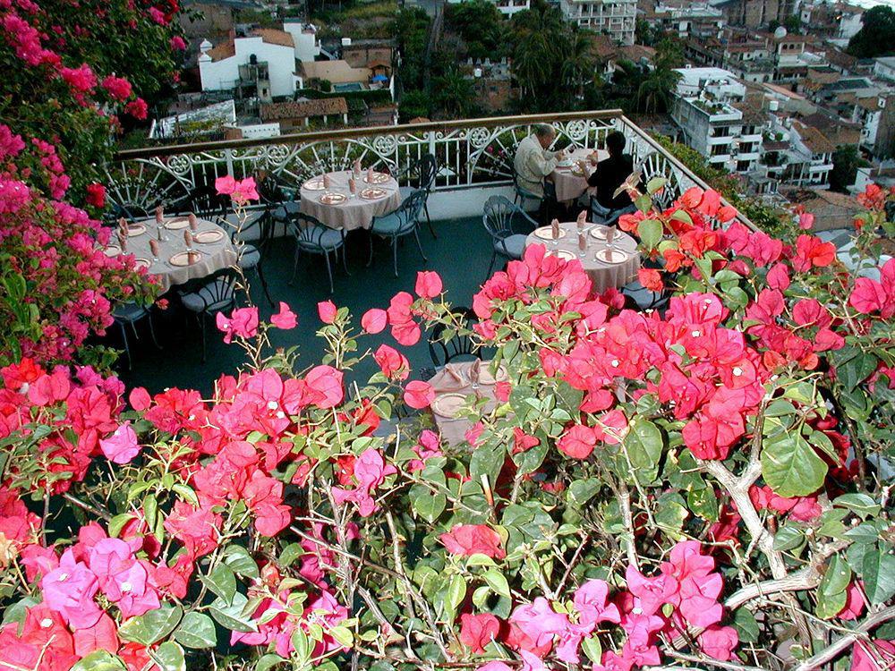 Hotel Suites La Siesta Puerto Vallarta Exteriér fotografie
